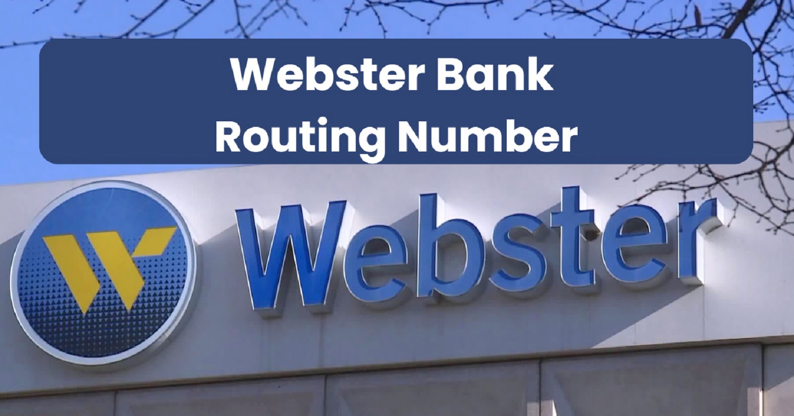 Webster Bank Routing Number